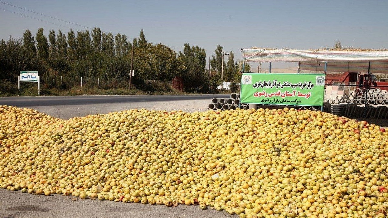 ۴۱ هزار تن سیب صنعتی در آذربایجان غربی خریداری شد