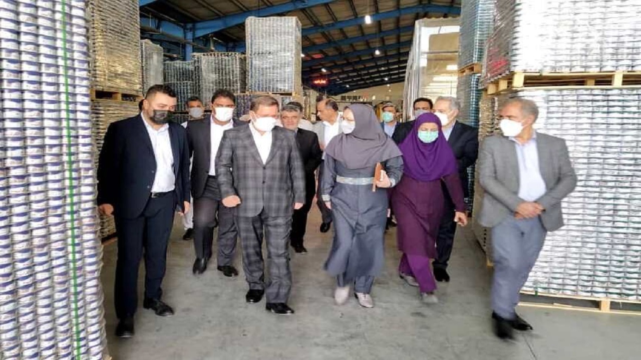 مدیرعامل بانک صنعت و معدن از واحد‌های صنعتی کُنارک بازدید کرد