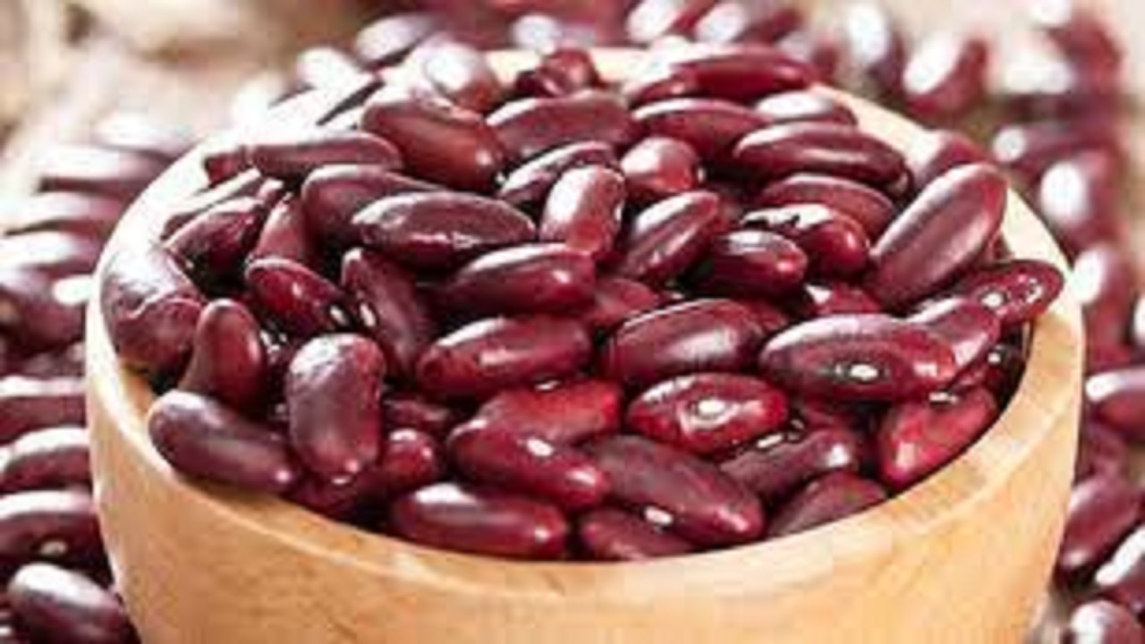 ازنا قطب تولید لوبیا در کشور است