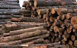 کشف ۴۰ کیلوگرم تریاک/ عاملان قاچاق مرغ و چوب در دام قانون