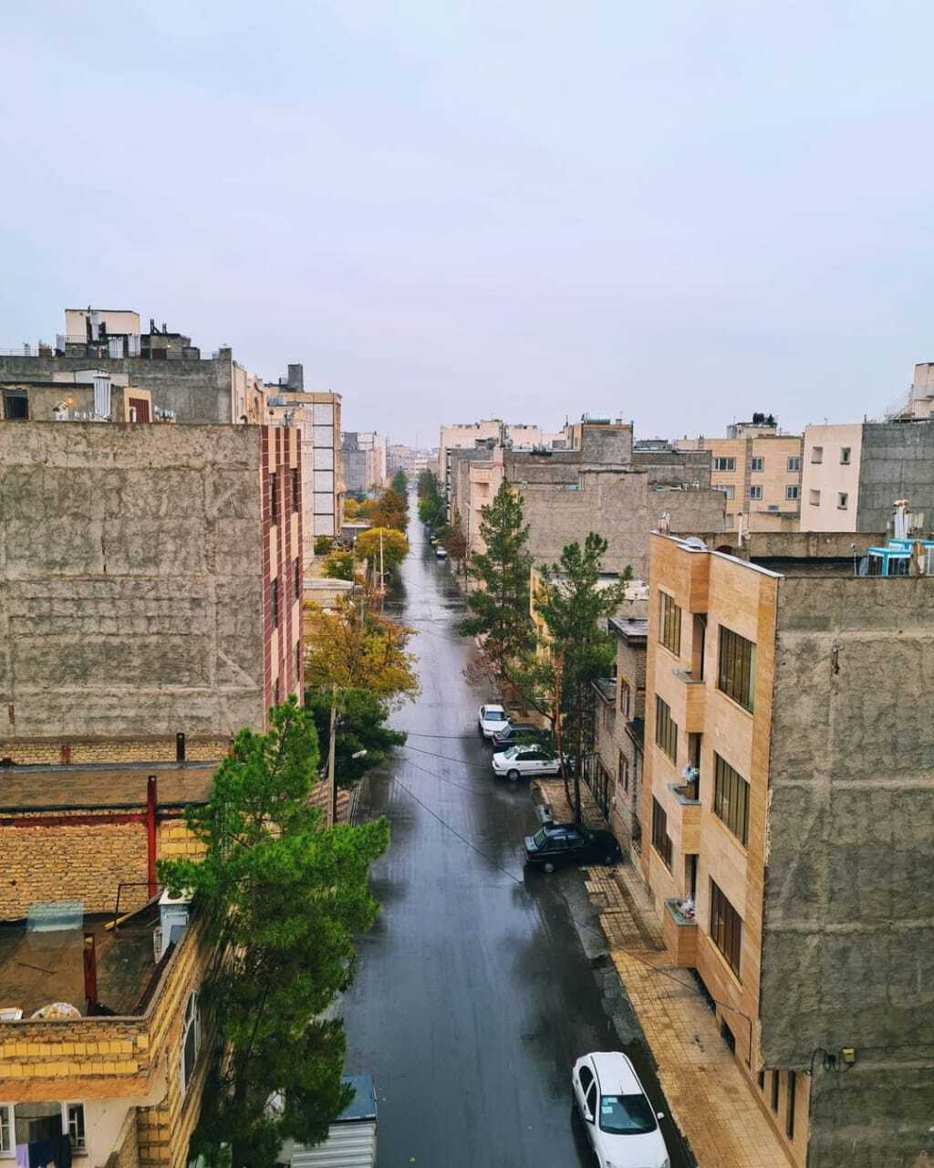 بارش باران پاییزی در مشهد+تصاویر
