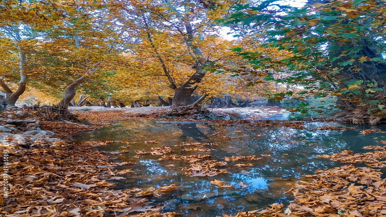 طبیعت پاییزی روستای جورگ در قاب دوربین شهروند خبرنگار + تصاویر