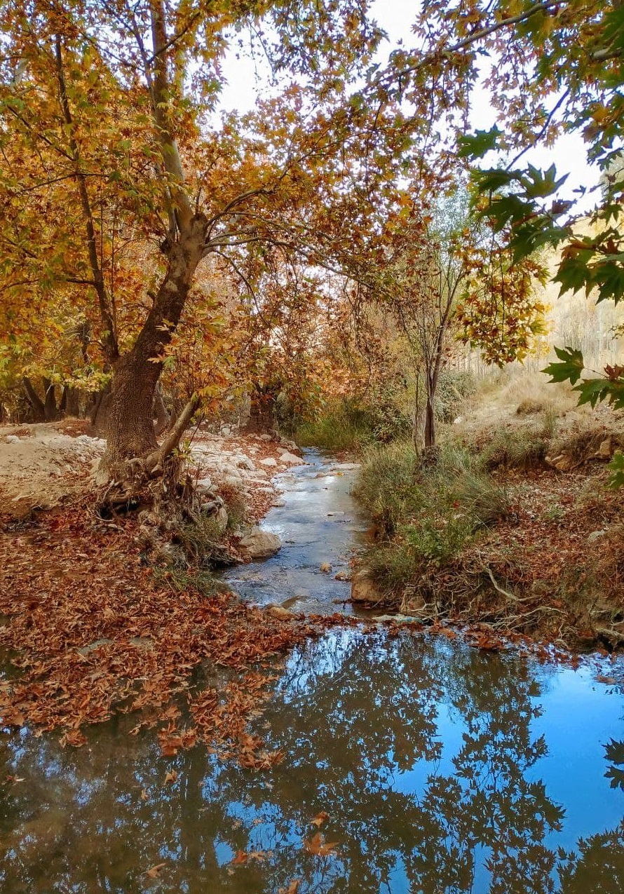از از