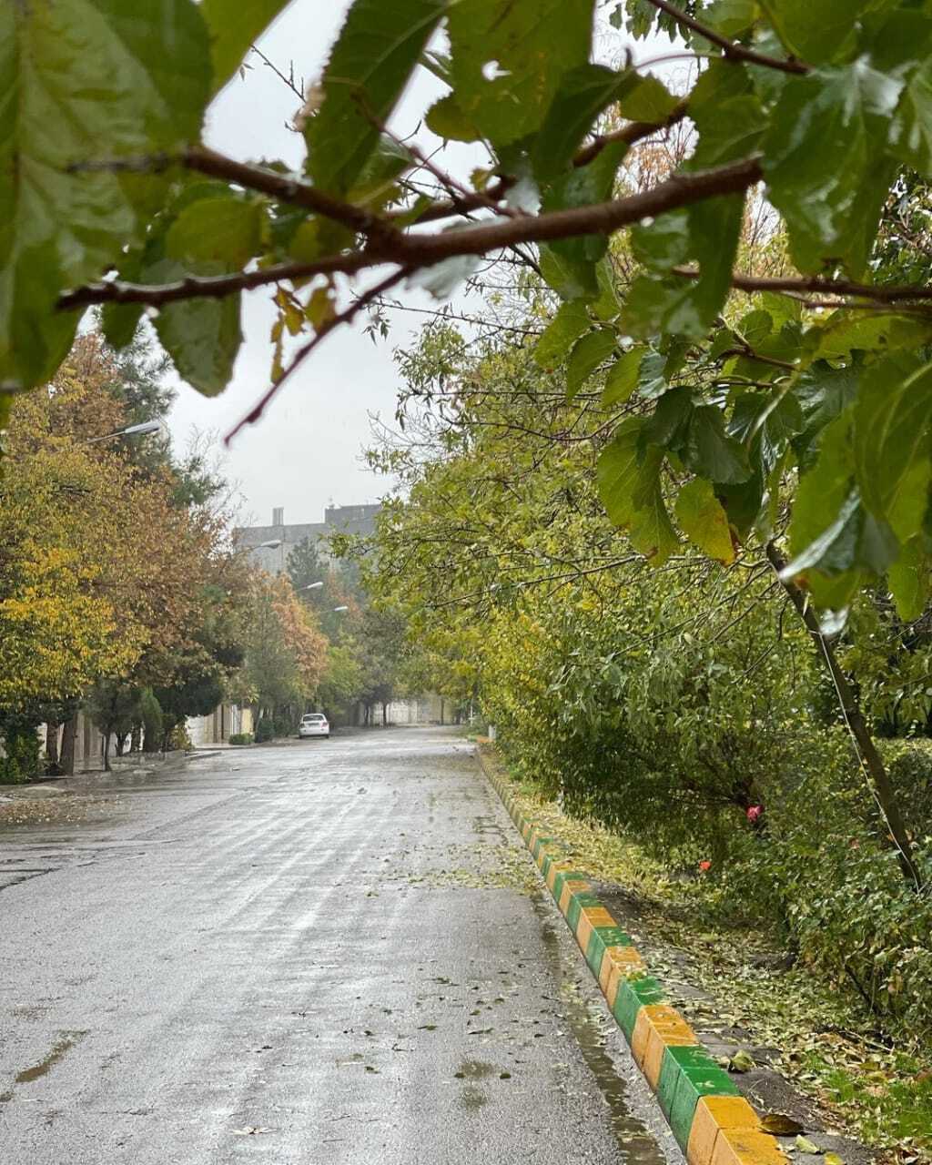 بارش باران پاییزی در مشهد+تصاویر