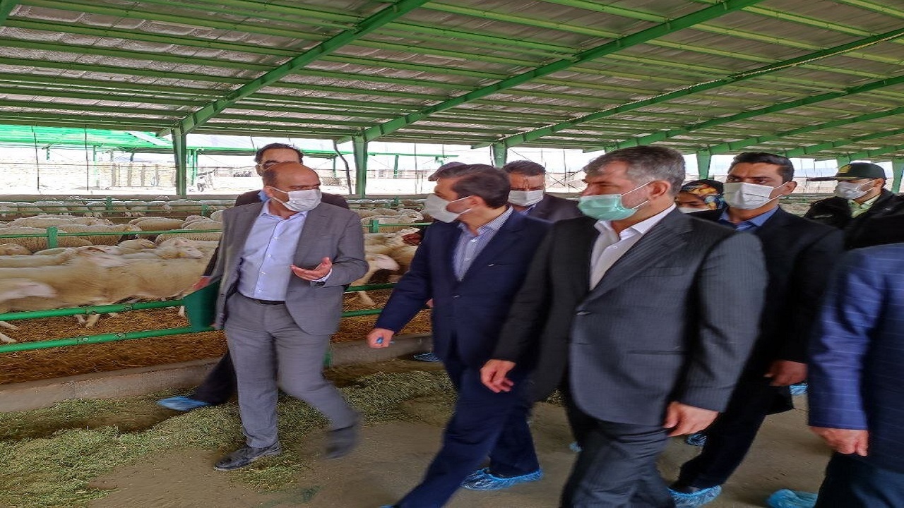 تامین و توزیع نهاده دامی طبق زمان‌بندی پیش می‌رود