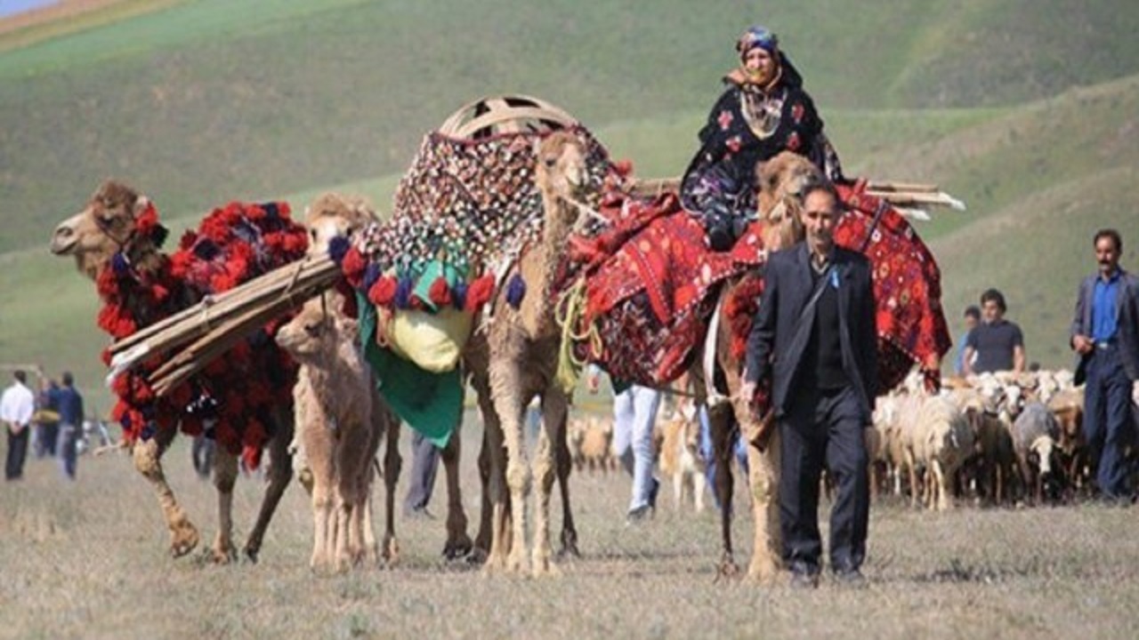توزیع ماهانه ۴۵۰ تن آرد در میان عشایر استان اردبیل