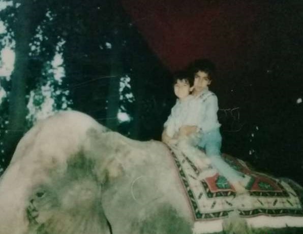 فیل باغ وحش مشهد