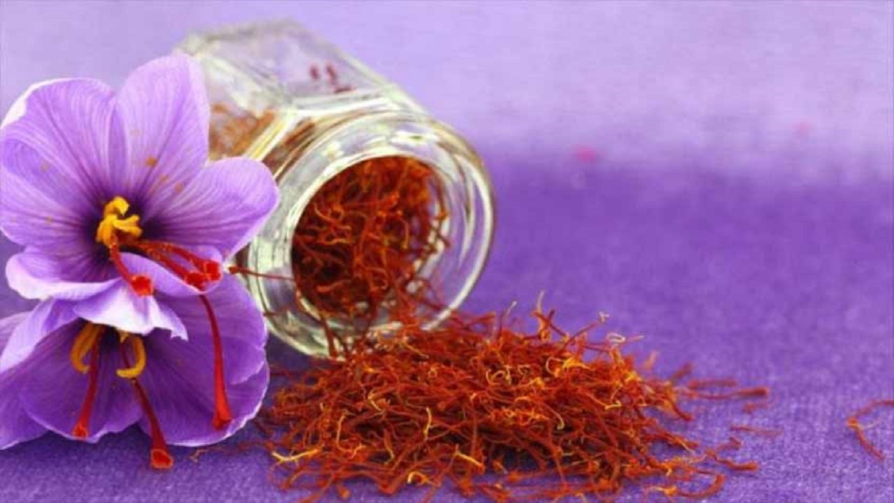 ضرورت ثبت جهانی میراث ناملموس زعفران تربت حیدریه