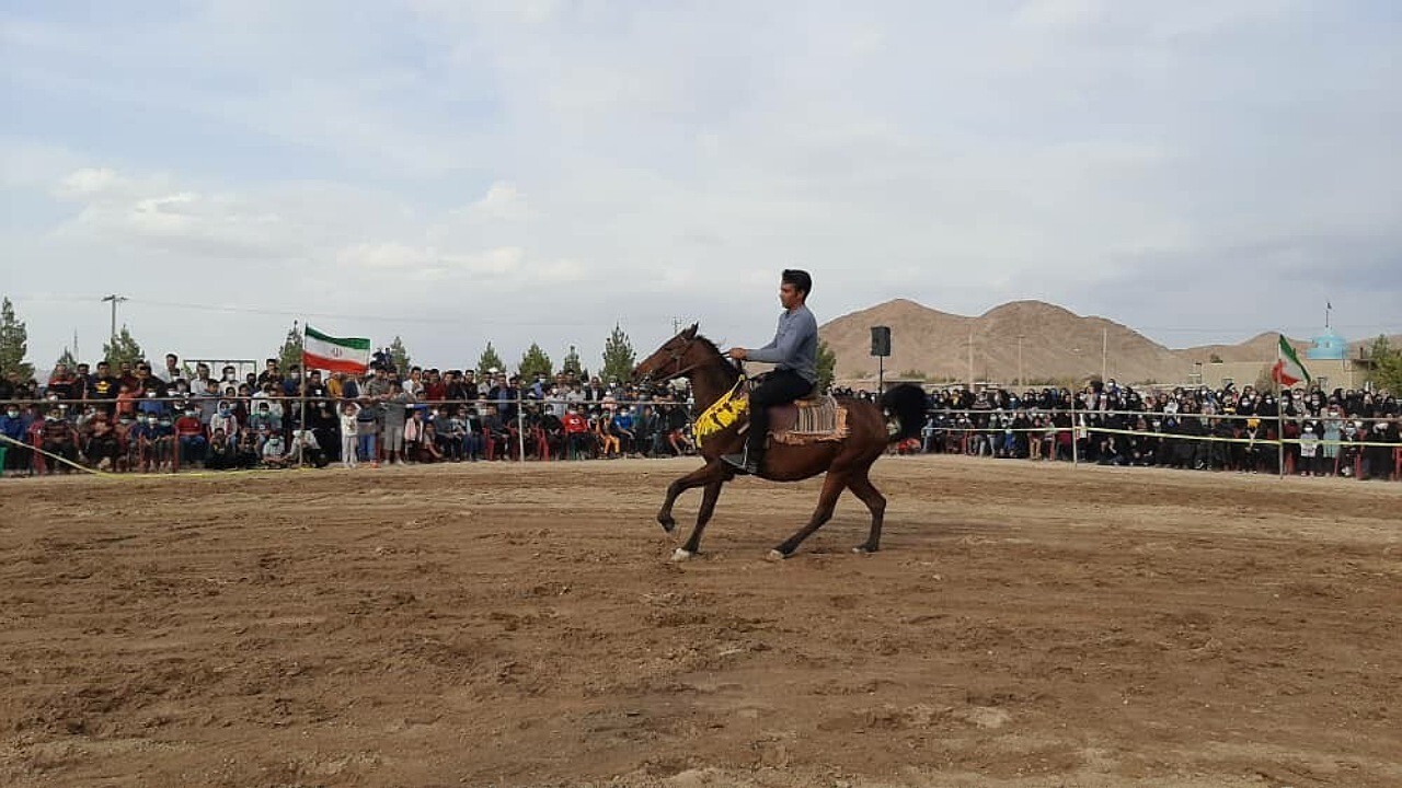 برگزاری فستیوال اسب در یزدانشهر زرند