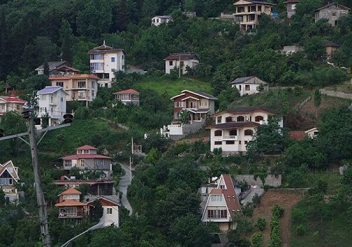 زندگی در مناطق جنگلی