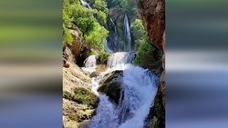 فیلمی آرامش بخش از جنگل هزار جریب
