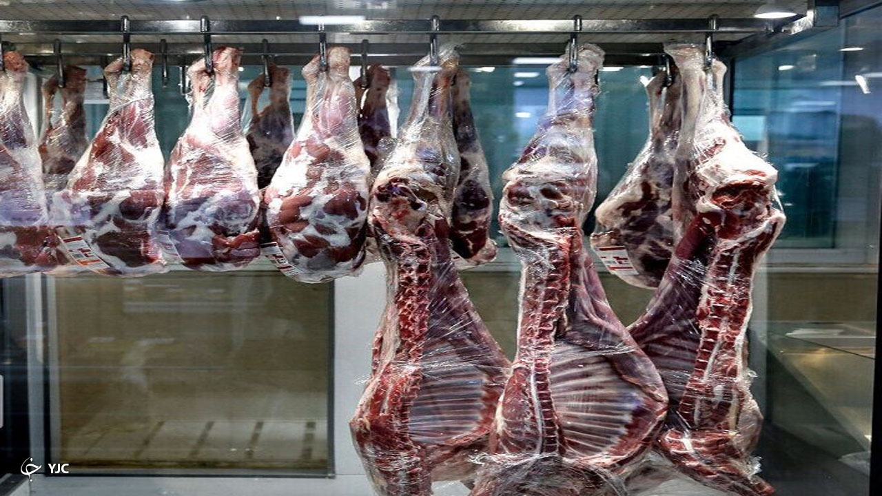 ۱۵ تن گوشت گرم گوسفندی در مهاباد توزیع می‌شود
