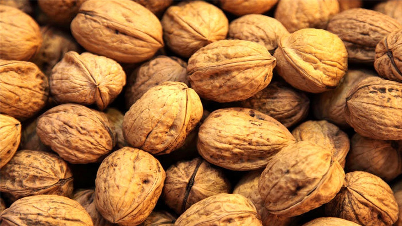 کشف یک تُن گردوی قاچاق در شاهین شهر