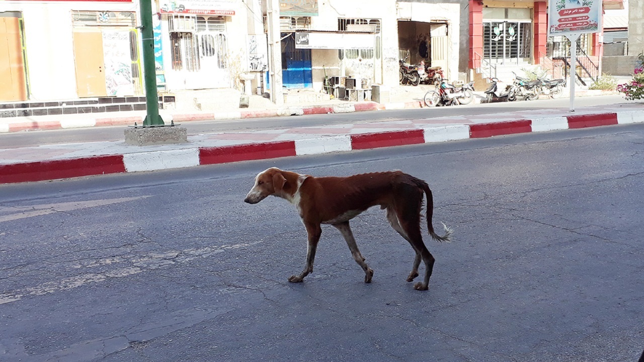 از