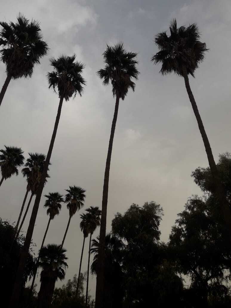 از