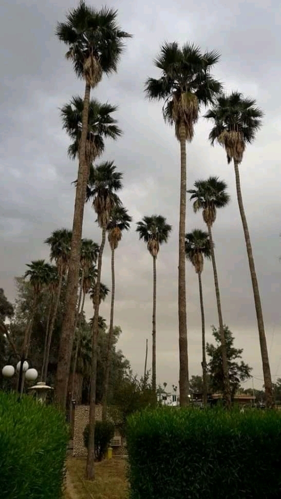از