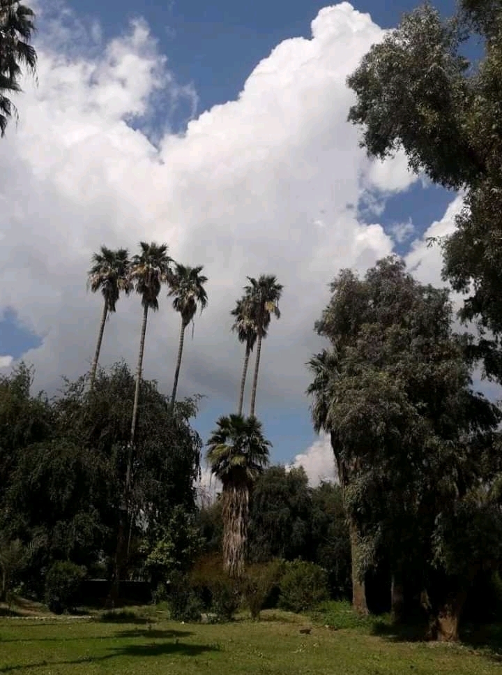 از