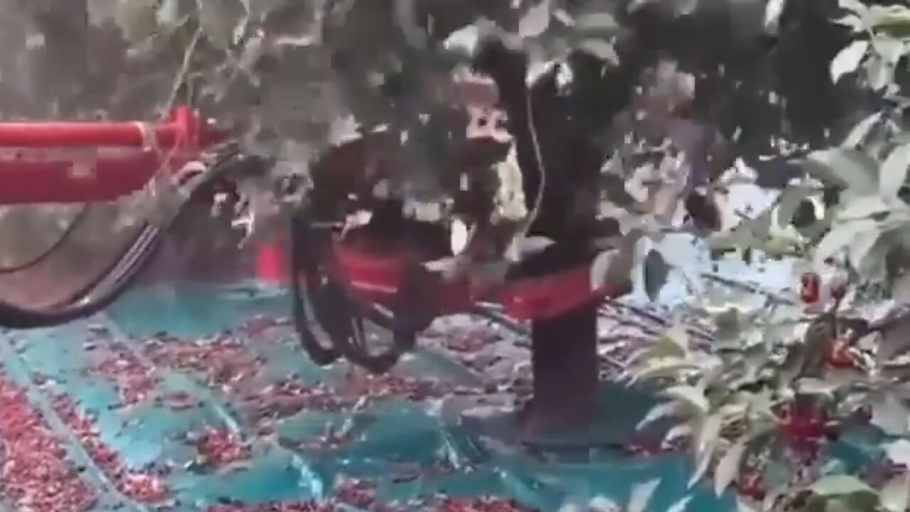 دستگاهی برای جمع‌آوری محصولات کشاورزی + فیلم