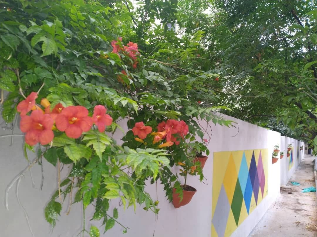 طرحی برای ترویج  فرهنگ آپارتمان نشینی + تصاویر