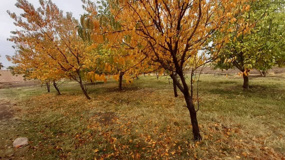 سفری پاییزی به روستای سردوران + تصاویر