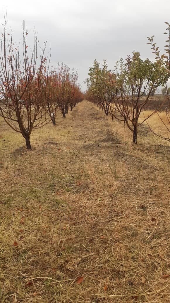 سفری پاییزی به روستای سردوران + تصاویر