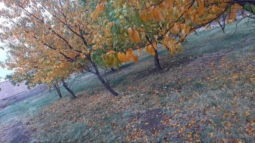 سفری پاییزی به روستای سردوران + تصاویر