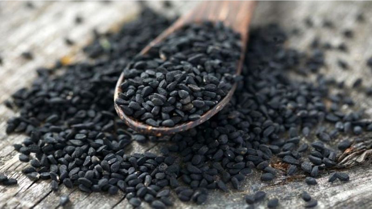 کاشت گیاه دارویی سیاه دانه در فراشبند