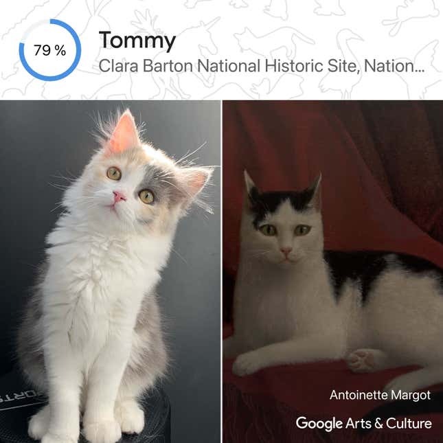 ویژگی &laquo;Pet Portraits&raquo;