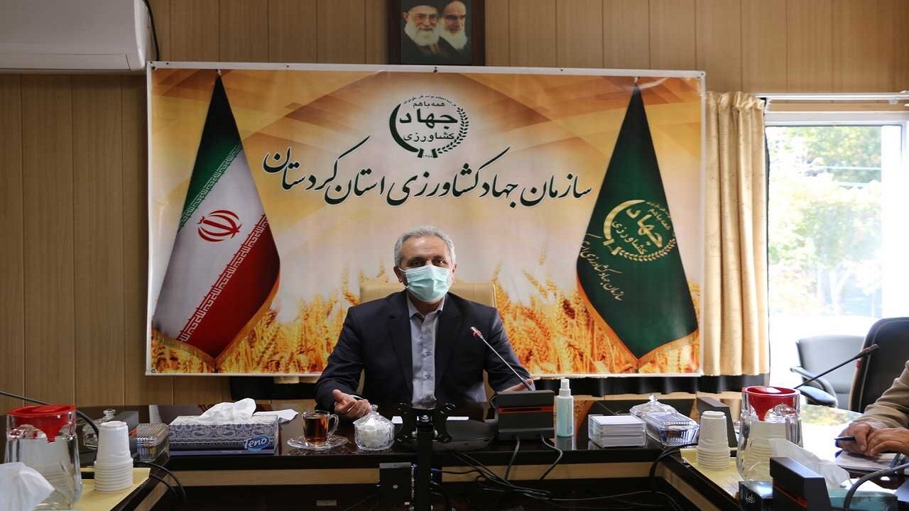 اجرای ۷۰ درصد برنامه ابلاغی کشاورزی حفاظتی در کردستان