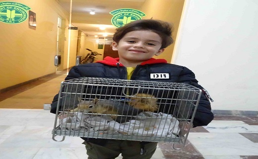 تحویل سنجاب ایرانی توسط دوستدار حیوانات به اداره محیط زیست سنندج