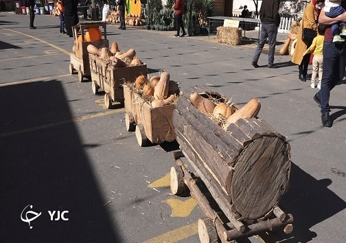 یک جشنواره خوشمزه + تصاویر