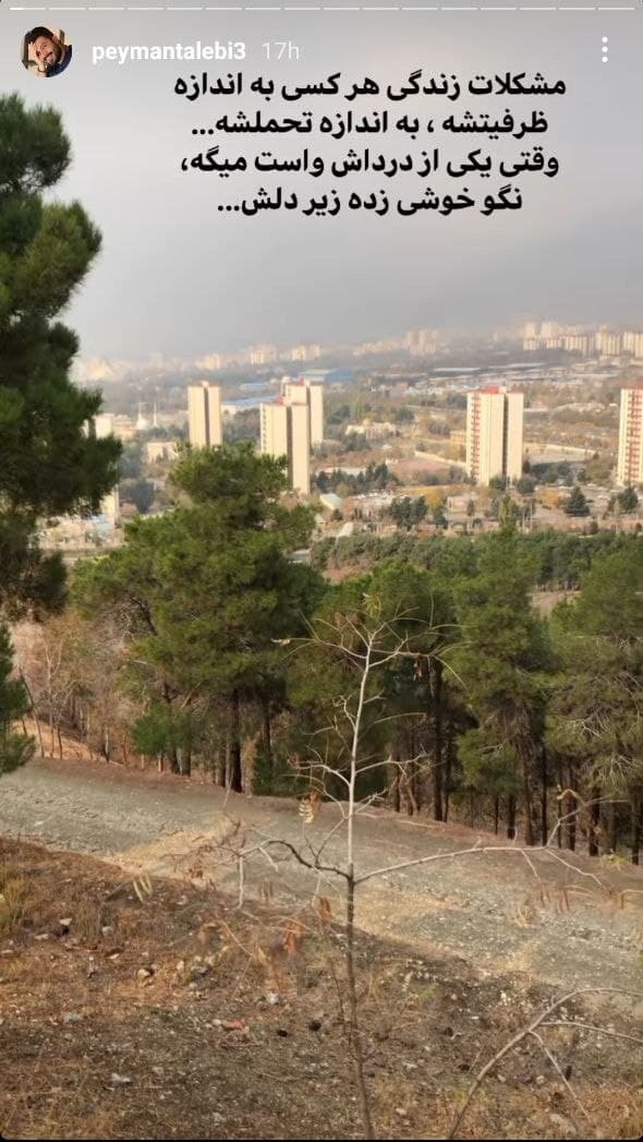 پیمان طالبی