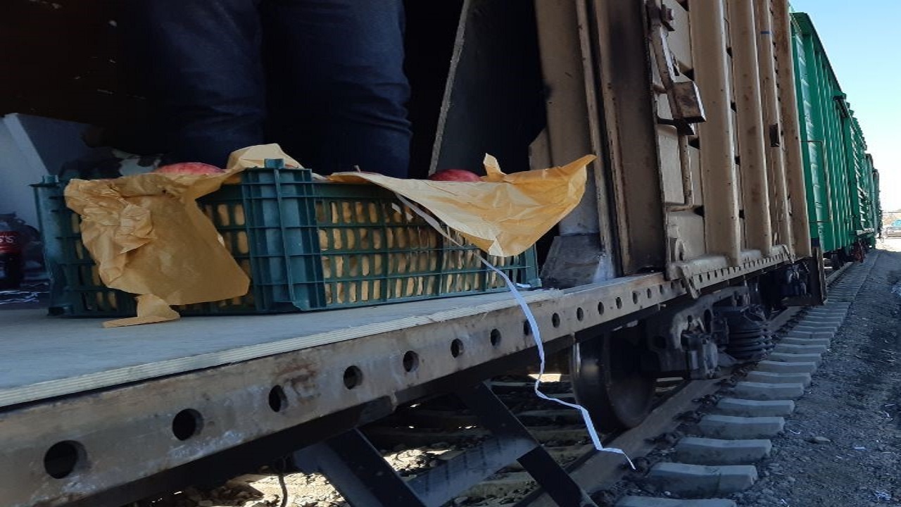 سالانه ۲۷ میلیون تُن محصول کشاورزی به کشور وارد می‌شود
