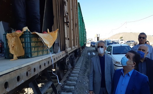 سالانه ۲۷ میلیون تُن محصول کشاورزی به کشور وارد می&zwnj;شود