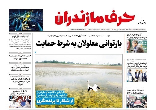از شکار تا پرنده نگری / مدیران فرسوده استراحت کنند
