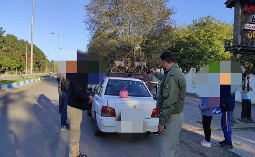 برخود با زباله ریزان خودرویی
