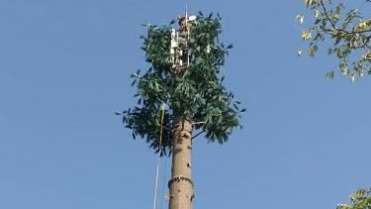 جمع آوری ۴۱۲ دکل ارتباطی در مشهد طی چهار سال