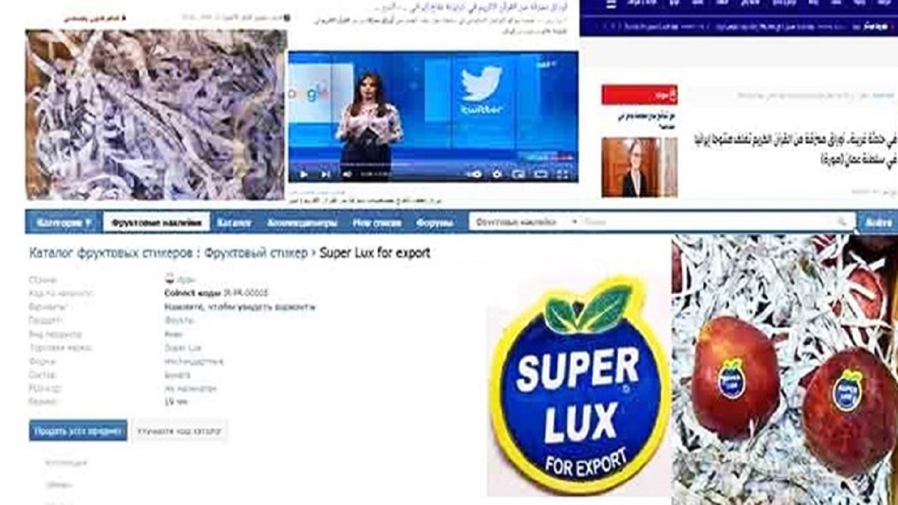 پیگیری هتک حرمت قرآن در جعبه میوه‌های صادراتی