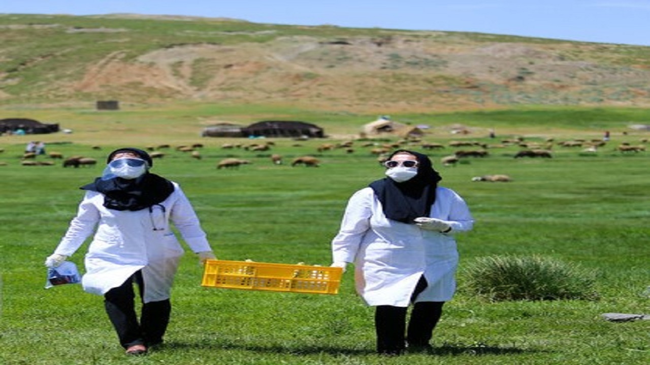 بنادکوک، اولین روستای صد درصد واکسینه