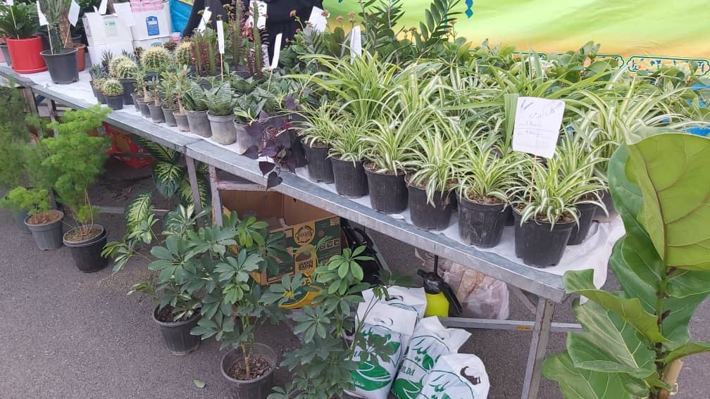 &nbsp;برپایی نمایشگاه مشاغل خانگی و تولیدی نجم السماء در قم