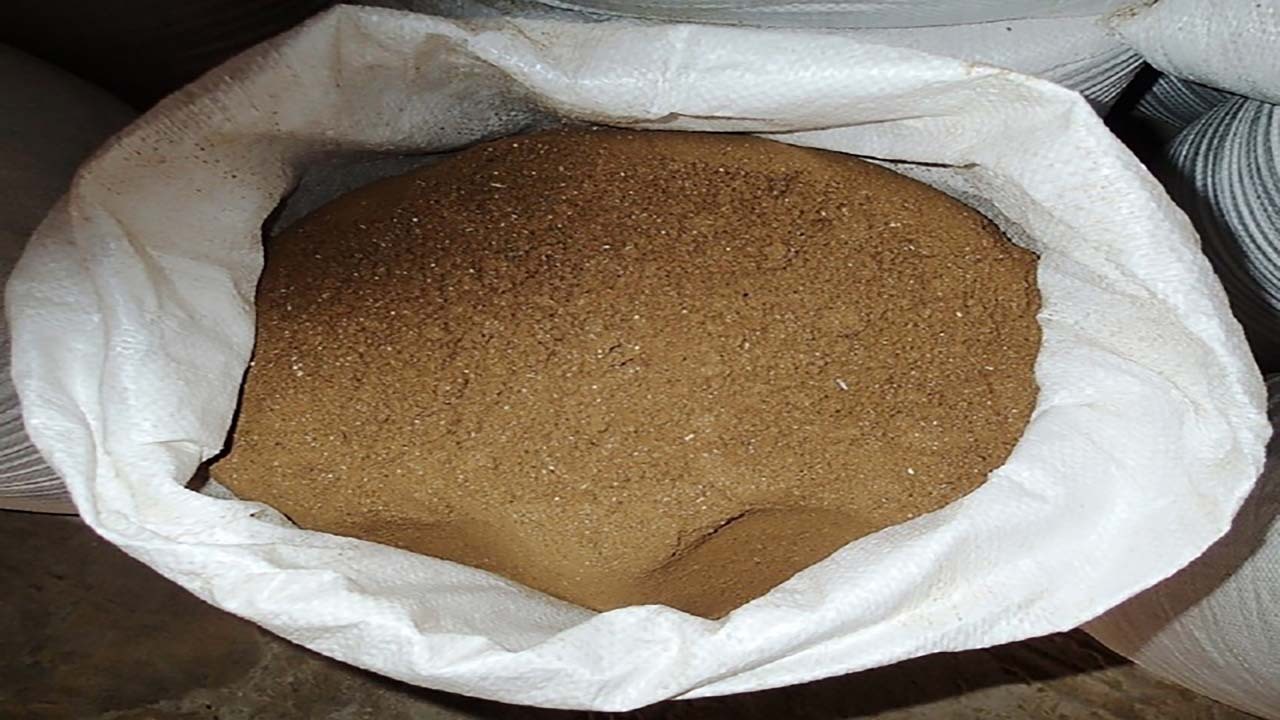 تنها واحد صادرکننده پودر ماهی در کشور+ فیلم