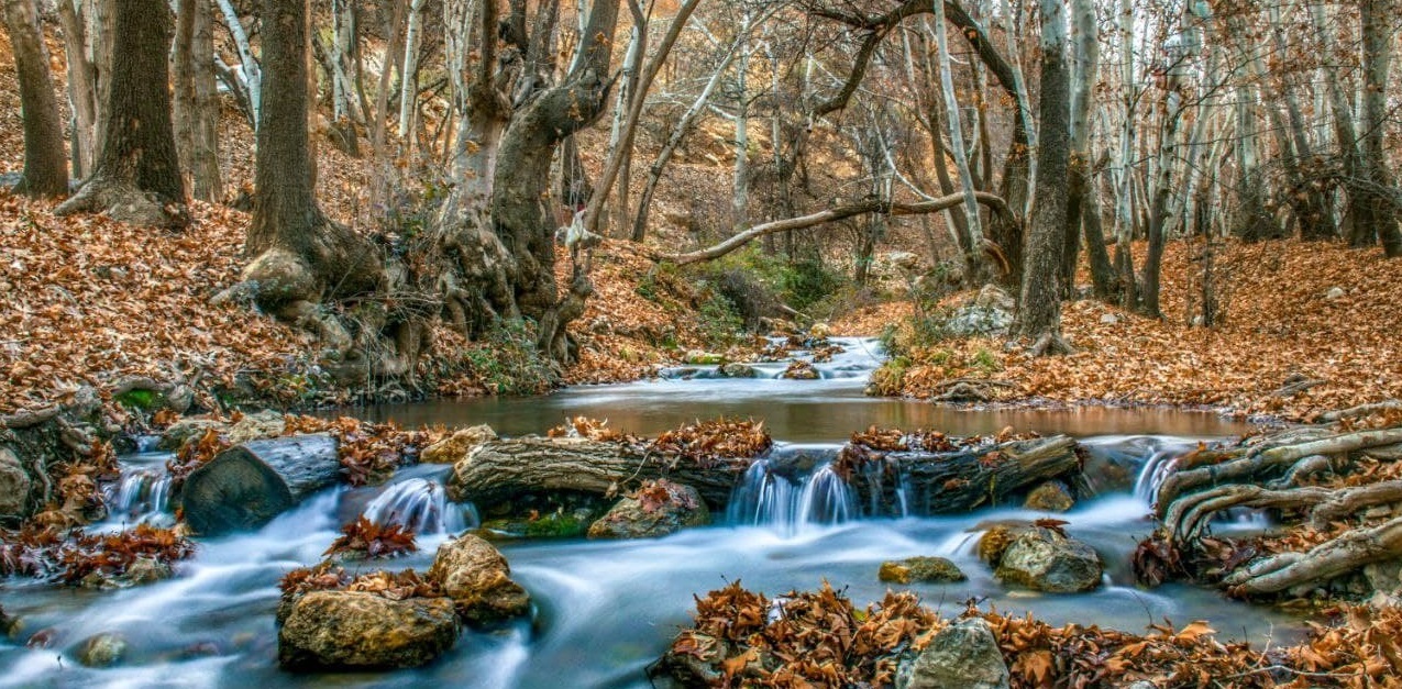 عکس هایی تماشایی از تنگه غوره دان شیراز