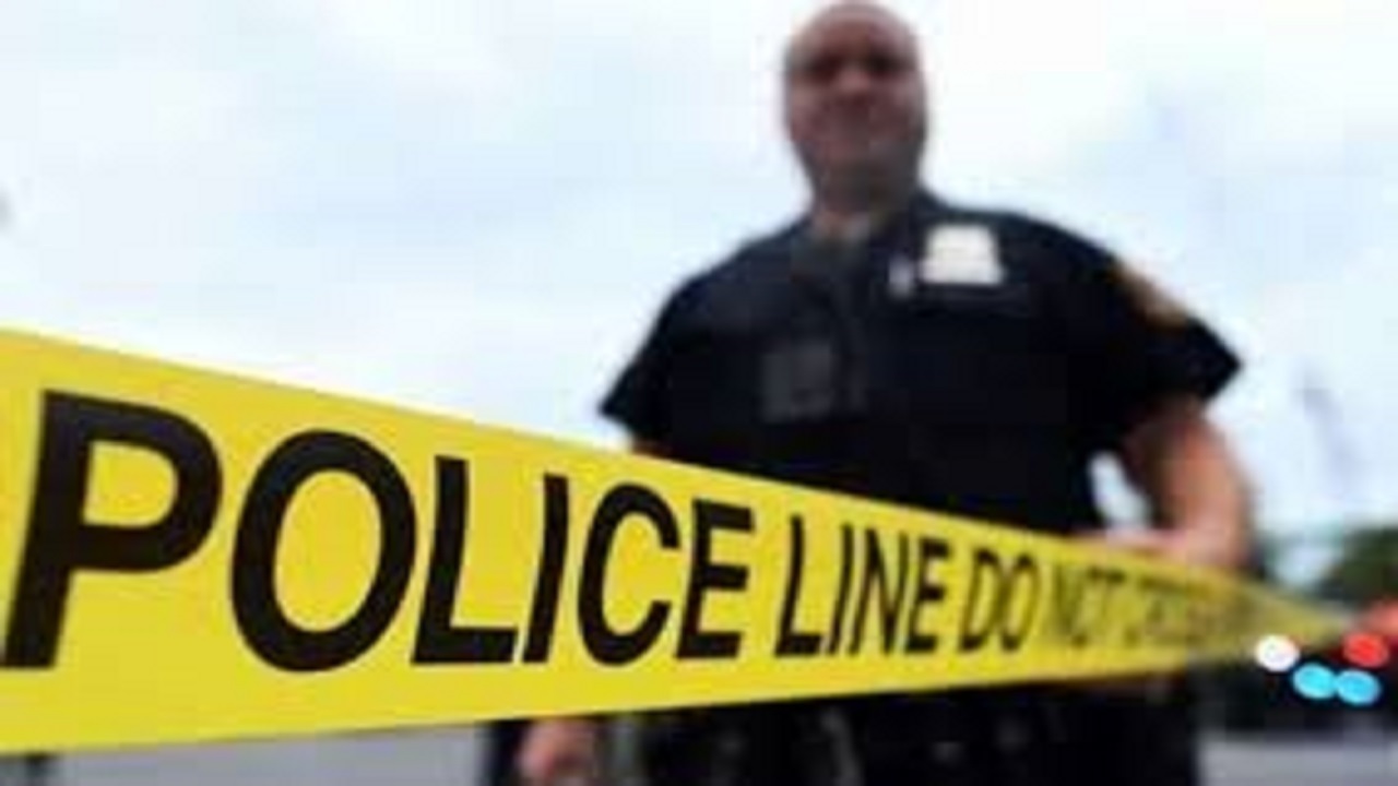 لحظه برخورد خودرو با افسر پلیس در حاشیه جاده + فیلم