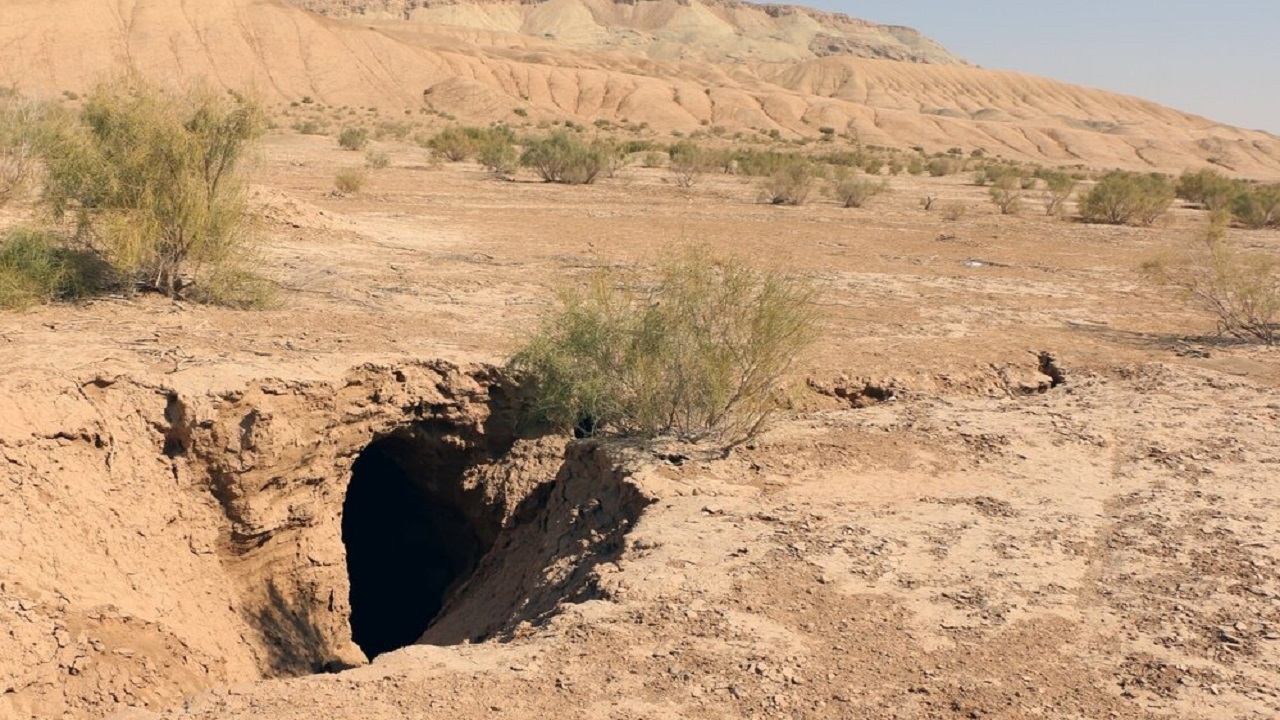 ترک خوردن سطح زمین