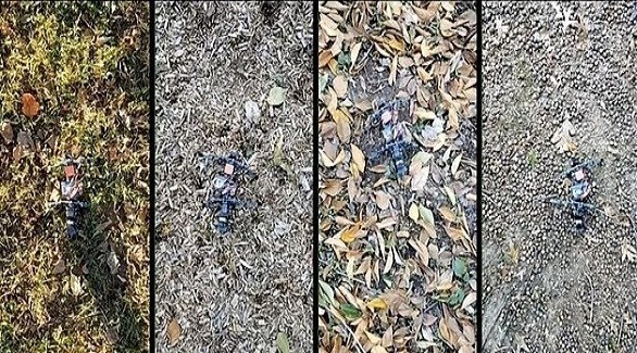 ربات های مورچه ای آماده کشفیات فضایی می شوند