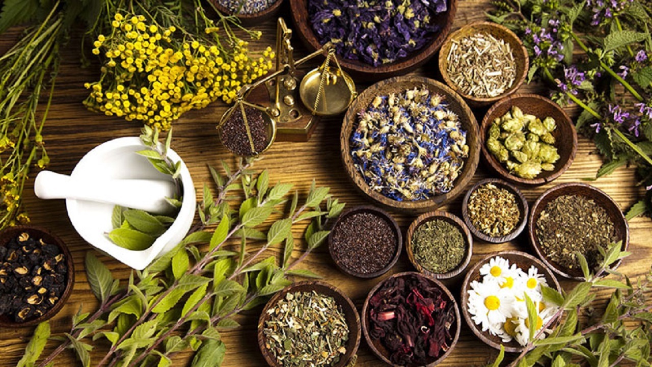 تجاری‌سازی و فراوری صنعتی، راه حل توسعه کشت گیاهان دارویی در گلستان