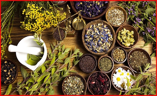 زهکش&zwnj;ها؛ نجات بخش زمین&zwnj;های شور کشور/ واقعیت ماجرای اخراج زوج نابینا از فرودگاه آبادان چه بود؟ / برنج&zwnj;های فاسد دپو شده از بندر امام خارج می&zwnj;شوند/