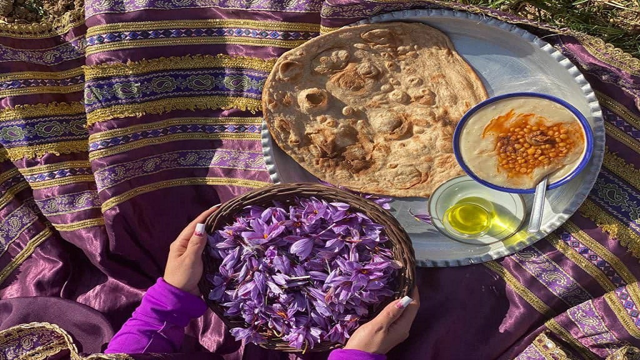 برداشت گل زعفران از مزارع تربت حیدریه+تصاویر