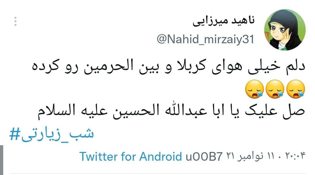 دلنوشته های کاربران در شب زیارتی امام حسین