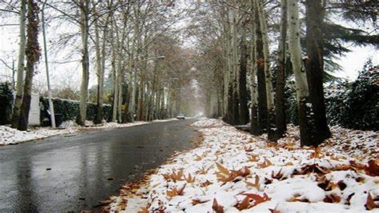 باز هم پاییز البرز زمستانی شد